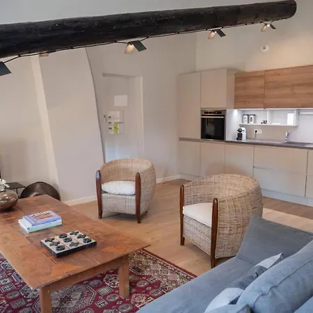 Cozy Nest In The Center Of Isle Sur La Sorgue For 4 People Apartment